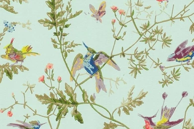 Cole & Son Hummingbirds Wallpapers