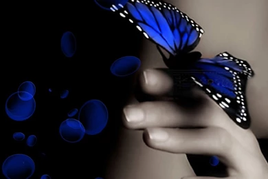 Wallpapers For Mobile