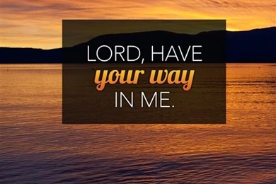 Wallpapers Colors Collection (44+)