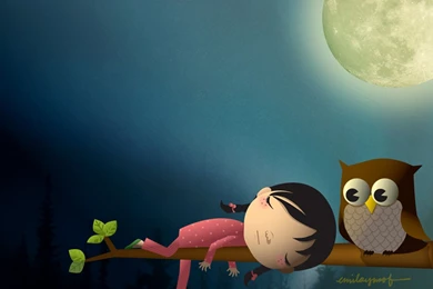 Wallpapers Owl Cute 1280x720