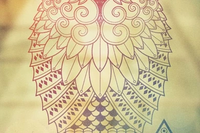 640x960 Mobile Phone Wallpapers Download   14   640x960 ...