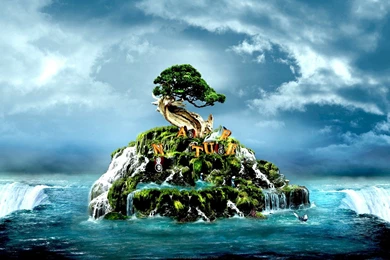 Free Download Amazing Wallpapers   Wallpapers Zone