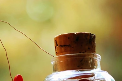 30+ Valentine's Day HD Mobile Wallpapers For Your Galaxy Phones ...