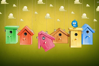 Colorful Bird Houses : Desktop And Mobile Wallpapers : Wallippo