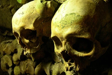 Free 3D Wallpapers Download: Horror Wallpaper, Horror Wallpapers