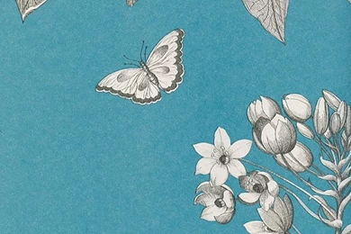 Blue Floral Wallpapers By Sanderson