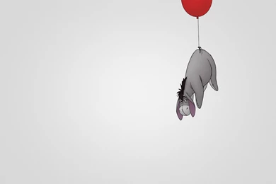 Funny Donkey Wallpapers