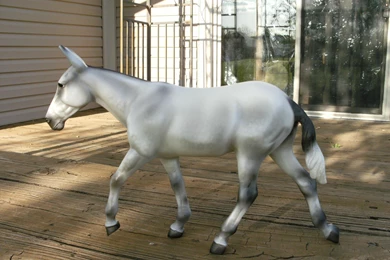 Donkey >> HD Wallpaper, Get It Now!