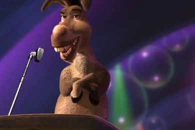 Donkey   Donkey Wallpapers (5987605)   Fanpop