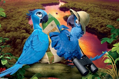 15 Rio 2 Movie WallpaperWallpapers And Backgrounds 1041 :: Rio 2 ...