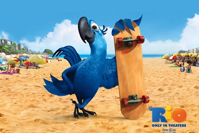 Blu In Rio Movie Wallpapers