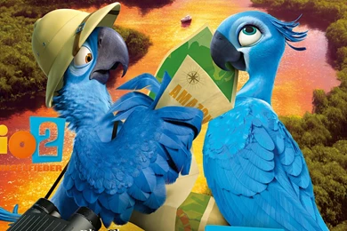 15 Rio 2 Movie Wallpaperwallpapers And Backgrounds 1041 Rio 2 Desktop Background 15 Rio 2 Movie Wallpaperwallpapers And Backgrounds 1041 Rio 2 Desktop Background