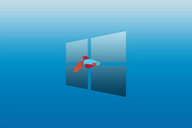 Funny Windows Wallpapers