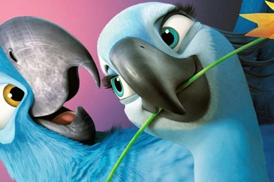 Blue Jewel Rio 2 Movie Wallpapers For Desktop Free Download