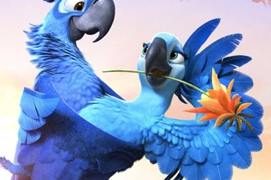 Rio 2 Movie 2014 HD Desktop Wallpapers : High Definition ...
