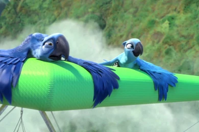 Blu And Jewel Soaring In Rio Desktop Wallpapers