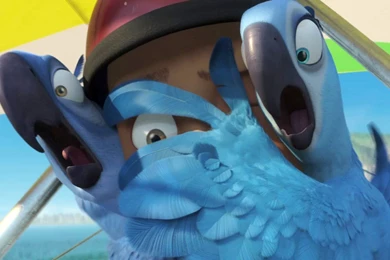 Image   Blu Jewel rio movie wallpapers 07.jpg   Rio Wiki   Wikia