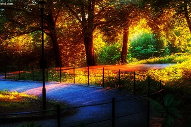 Amazing Nature Wallpapers HD