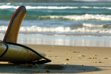 11 Surfboard HD Wallpapers