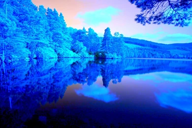 Organic Photos, Amazing Nature Wallpapers, Green, Samsung Nature ...