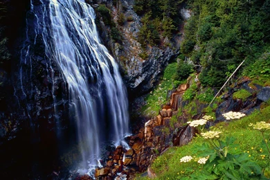 Amazing Nature Wallpapers 171