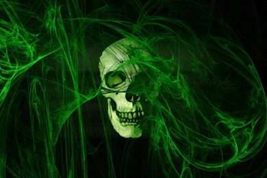 Skull, Horror, Wallpapers   HD Wallpapers