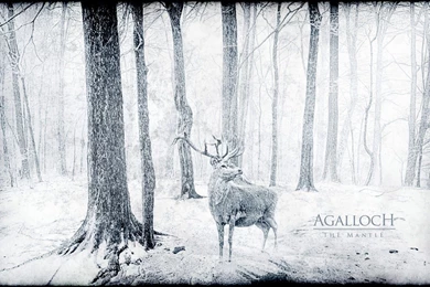 Agalloch Wallpapers   Wallpapers Cave