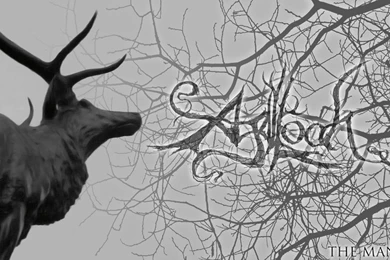 Agalloch   The Mantle [OC By My Friend] [1920x1080] : Metalwallpapers