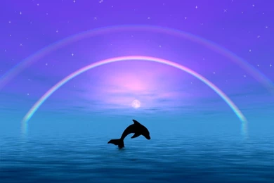 Dolphin Wallpapers Collection (36+)