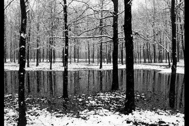 Agalloch   DeviantArt