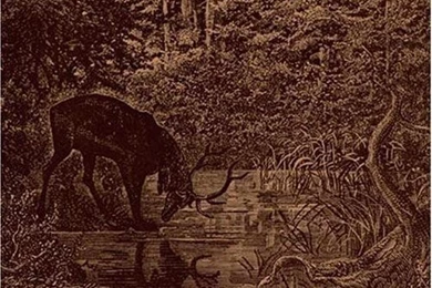 Stone : Search Results For Stone   Webzine And Metal Community