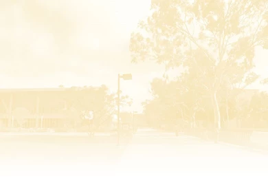 Your Job After College