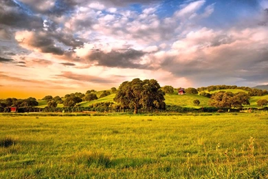 Share Your Wallpapers