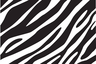 Black And White Zebra Print Wallpapers   Widescreen HD Wallpapers