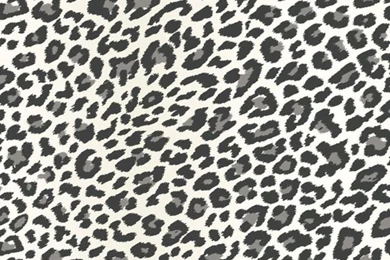 Wallpapers I Need Collection On EBay!