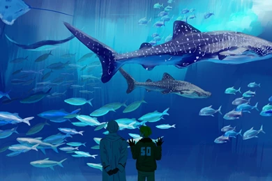 Download Wallpapers 1920x1080 Big, Oceanarium, Axis Powers Hetalia ...