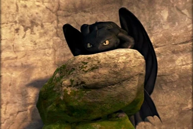 ★ Toothless ☆   Toothless The Dragon Wallpapers (33059176)   Fanpop