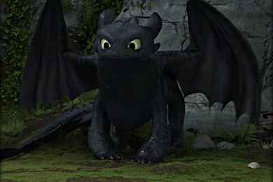 ★ Toothless ☆   Toothless The Dragon Wallpapers (32987031)   Fanpop