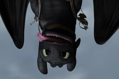 How To Train Your Dragon 2 Computer Wallpapers, Desktop ...