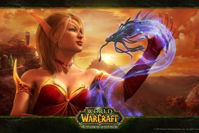 World Of Warcraft Burning Crusade, Sexy Female Blood Elf ...