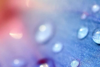 720x1280   Android Live Wallpapers, Android Wallpapers, Android ...