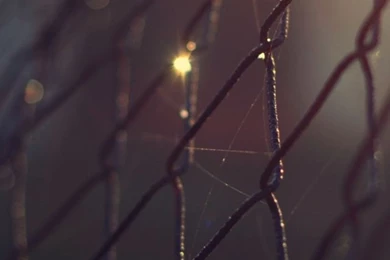 Barbwire Fence Lockscreen iPhone 6 Plus Hd Wallpapers   HD Mobile ...