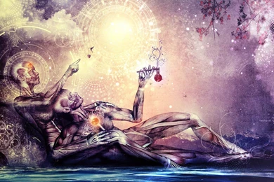 Desktop Wallpapers Humor And Fun Welcome To The DMT Nexus