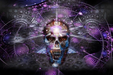 Skulls Dmt Vision Alex Grey