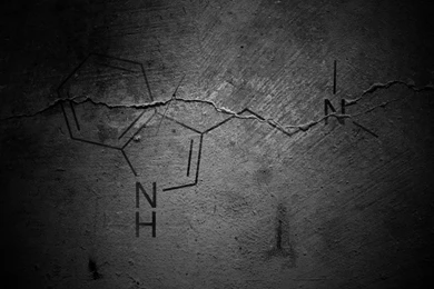 Dmt Concrete Drugs Graffiti Gray Wallpapers