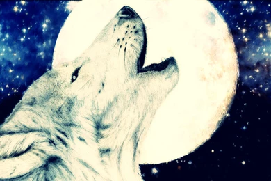 Battlefield 3 Wallpapers By DragunowX On DeviantArt