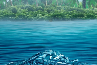 Nature Android Wallpapers – Androidwalls.org