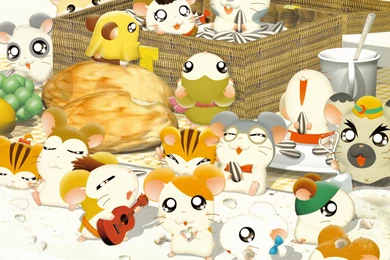 Hamtaro