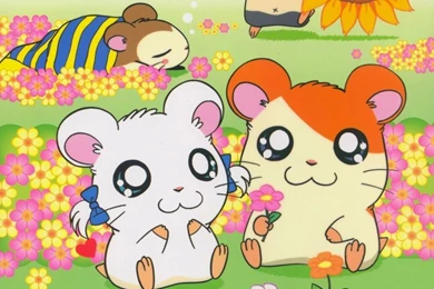 Hamtaro Wallpapers   Wallpapers Cave