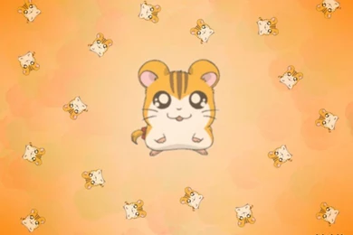 Hamtaro Wallpapers 10   HD Wallpaper Backgrounds